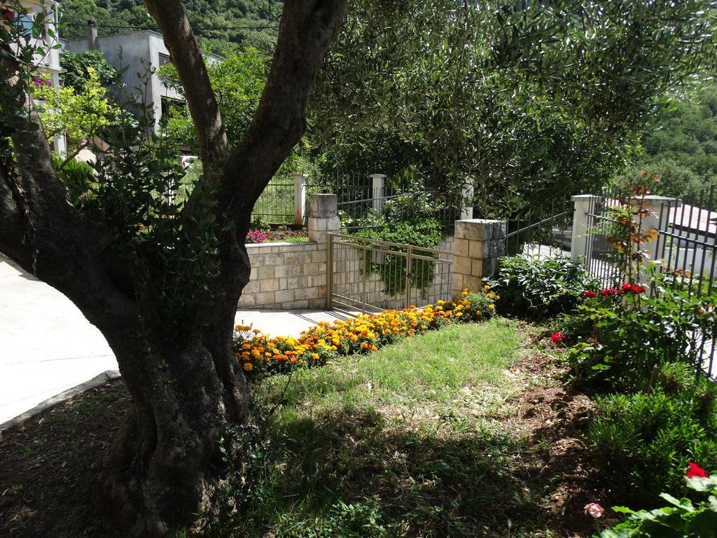 Apartments Ilinka بودفا المظهر الخارجي الصورة